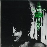 The Waterboys - A Pagan Place